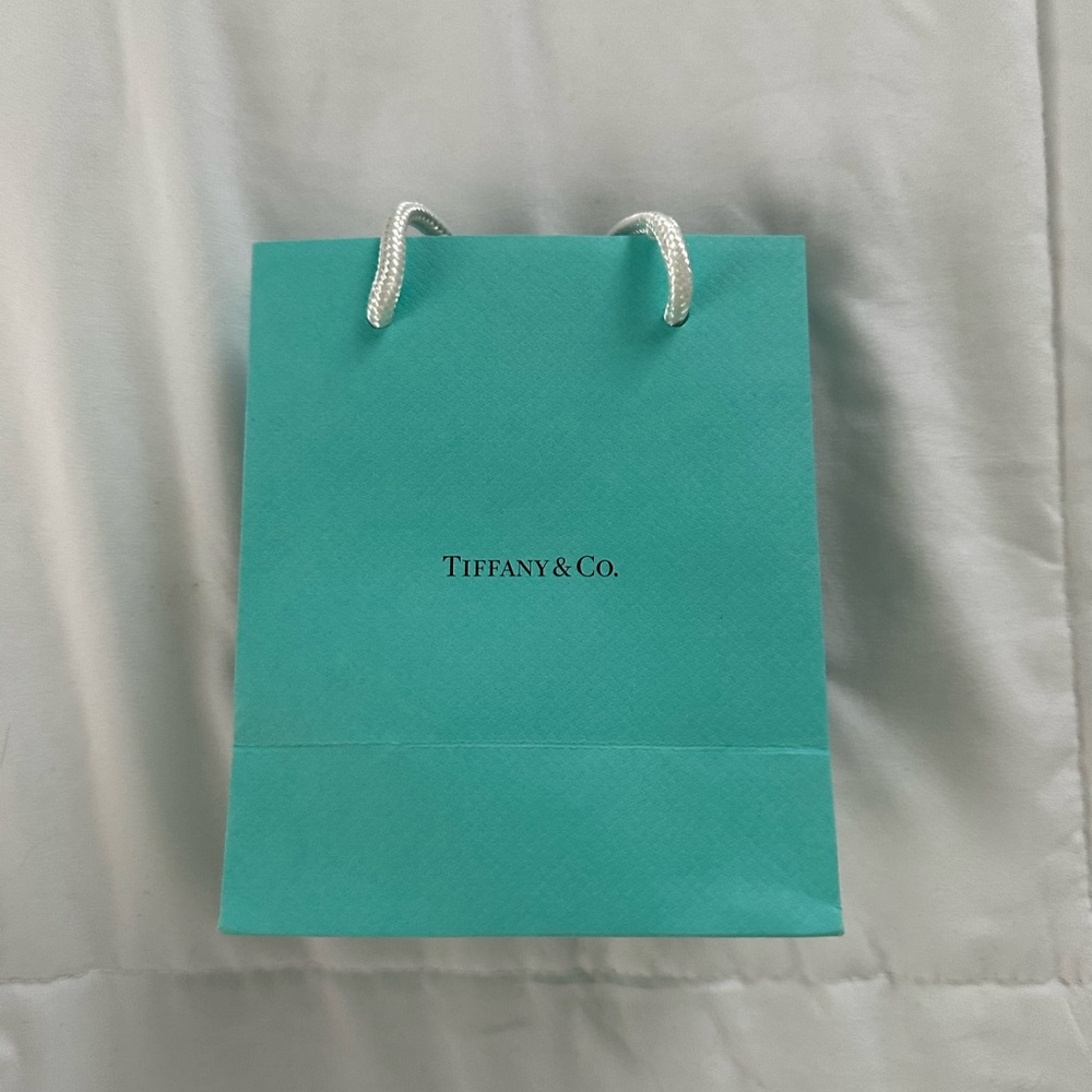 Tiffany bag 20 dlls